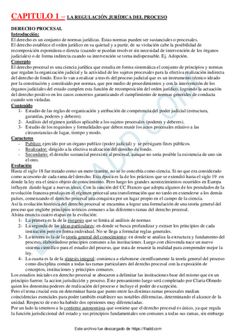 TEORIA-DEL-PROCESO-resumen-Cat-C.pdf