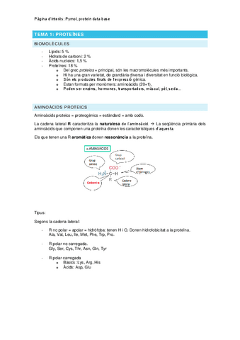 Temari-primer-parcial-teoria-temes-1-2-3.pdf