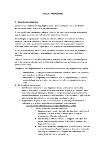 TEMA-28.pdf