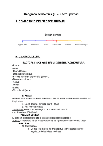 Geografia-selectivitat..pdf