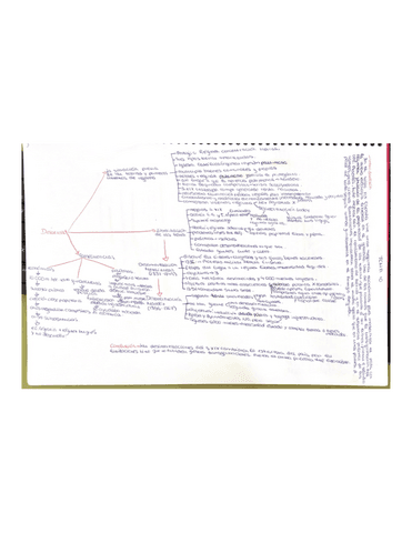 ESQUEMA-TEMA-10-HISTORIA-DE-ESPANA.pdf