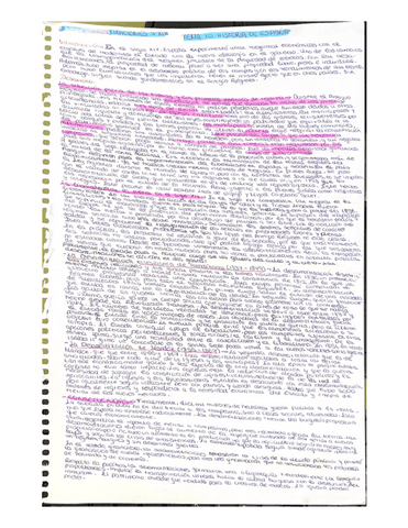 Las-desamortizaciones-del-siglo-XIX.pdf