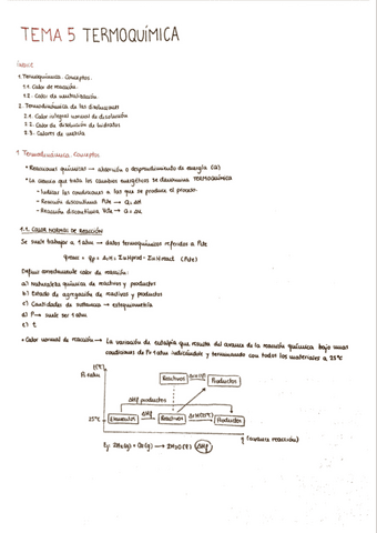 TEMA-5-Termoquimica.pdf