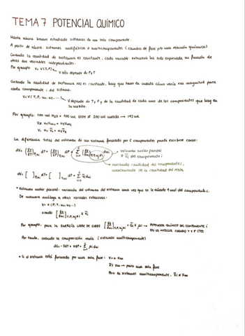 TEMA-7-Potencial-Quimico.pdf