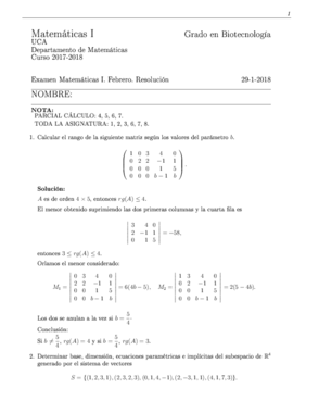 matI_f18_resolucion.pdf