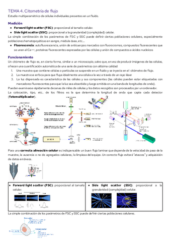 TEMA-4.-Citometria-de-flujo.pdf