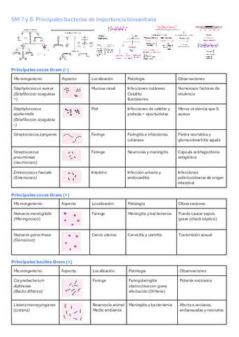 SM-7--8.-Principales-bacterias-de-importancia-biosanitaria.pdf