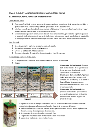 TEMA 2.  EL SUELO Y LA NUTRICIÓN MINERAL DE LAS PLANTAS DE CULTIVO.pdf