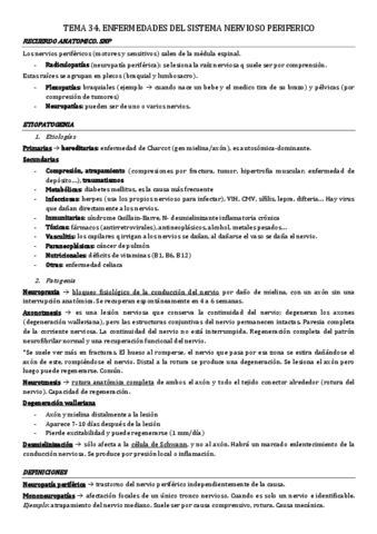 tema-34.-enfermedades-SNP.pdf