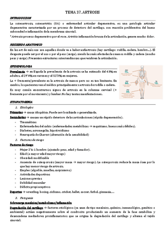 tema-37.-artrosis.pdf