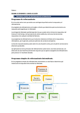 TEMA-6.pdf