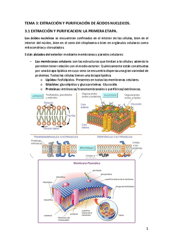 Extraccion-y-purificacion-de-Ac-Nucleicos.pdf