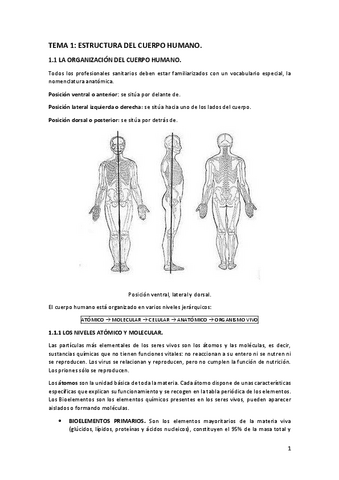 Tema-1-Estructura-del-cuerpo-humano.pdf