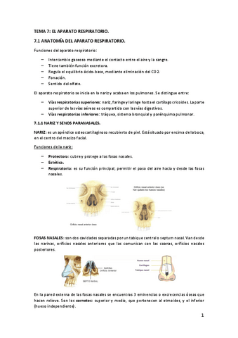 Tema-7-El-sistema-respiratorio.pdf