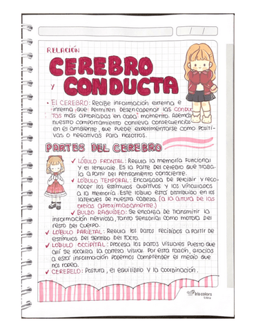 RELACION-CEREBRO-Y-CONDUCTA.pdf
