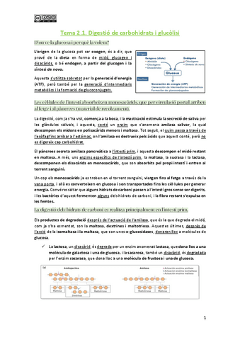 Tema-2.1.-Metabolisme-dels-hidrats-de-carboni-i-la-glucolisis-correccio.pdf