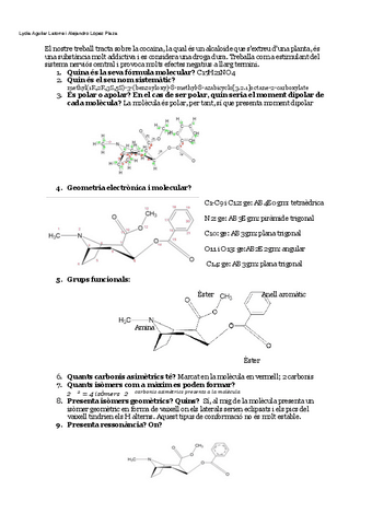 treball-quimica2.pdf