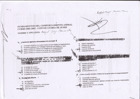 0file0001-patatabrava-1.pdf