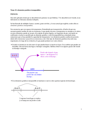elementos-geneticos-transponibles.pdf