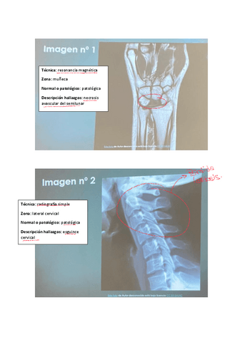 imagenes-diagnostico-resuelto-2022.pdf