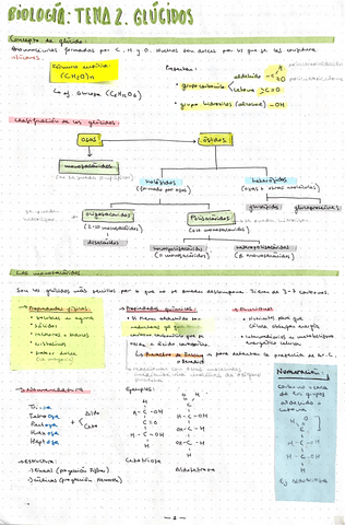 Tema2Glucidos.pdf