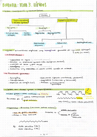 Tema3Lipidos.pdf