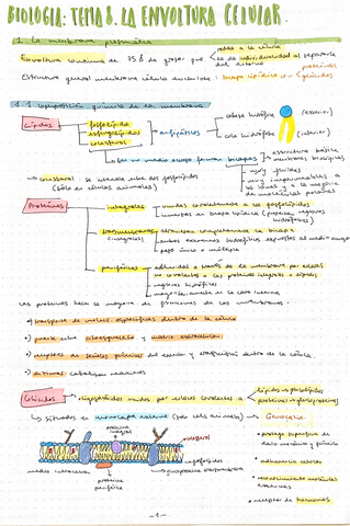 Tema8EnvolturaNuclear.pdf