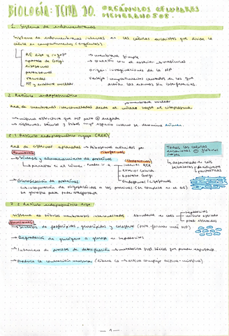 Tema10OrganulosCelularesMembranosos.pdf