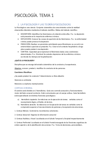 PSICOLOGIA COMPLETO.pdf