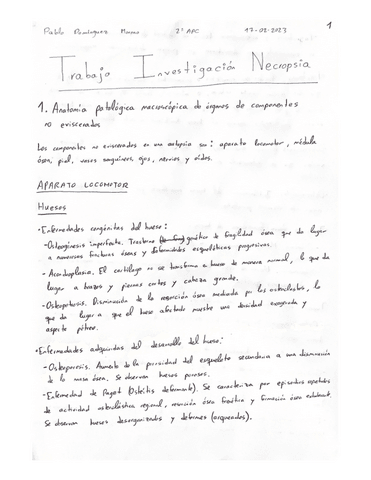 Trabajo-Investigacion-Necropsia.pdf