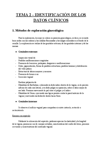 Resumen-Punto-1-Tema-2-CGi.pdf