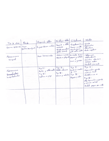 Cuadro-resumen-carcinomas-aparato-respiratorio-CGe.pdf