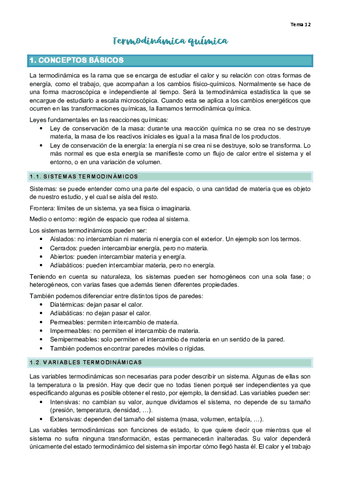 T12.-Termodinamica-quimica.pdf