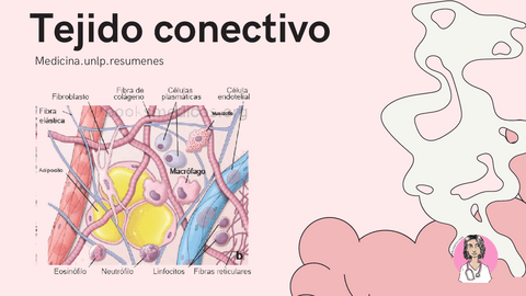 TEJIDO-CONECTIVO.pdf