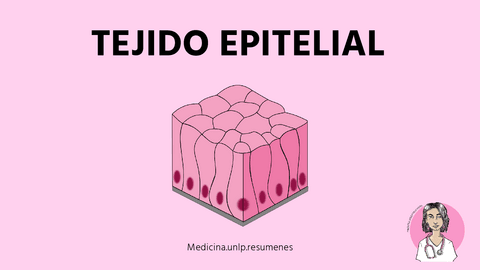 TEJIDO-EPITELIAL.pdf