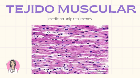 TEJIDO-MUSCULAR.pdf