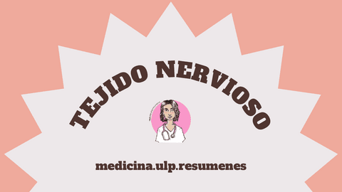 TEJIDO-NERVIOSO.pdf