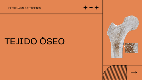 TEJIDO-OSEO.pdf