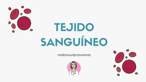 TEJIDO-SANGUINEO.pdf