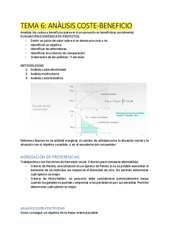 TEMA-6.pdf