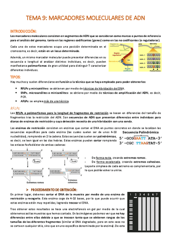 TEMA-9-Marcadores-moleculares.pdf