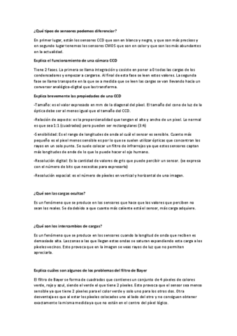 preguntas-examen.pdf