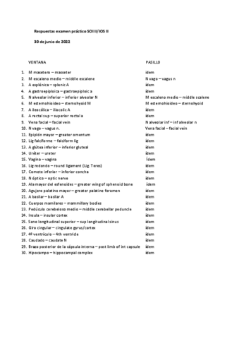 Respuestas-examen-practico-SOI-II-Jun-30.pdf