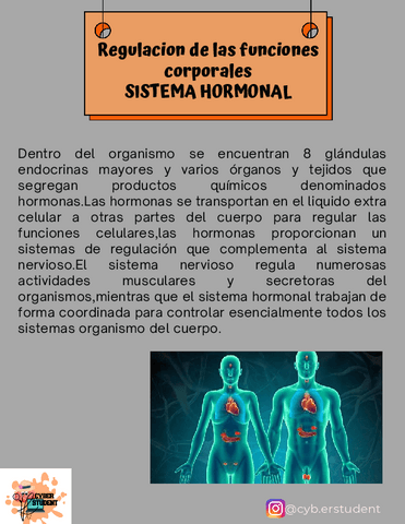 SISTEMA-HORMONAL.pdf