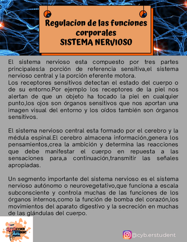 SISTEMA-NERVIOSO.pdf