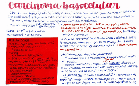 Carcinoma-basocelular.pdf
