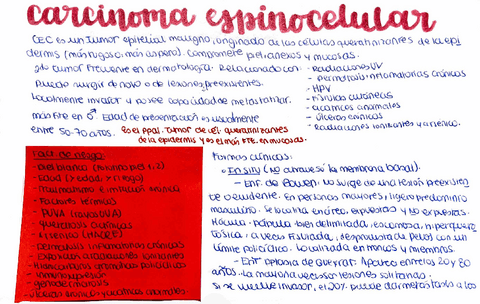 Carcinoma-espinocelular.pdf