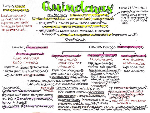 Quinolonas.pdf