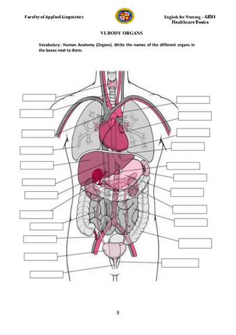 Anatomy-Vocabulary.pdf