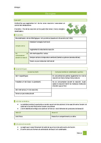 Tema-3-Enzims.pdf